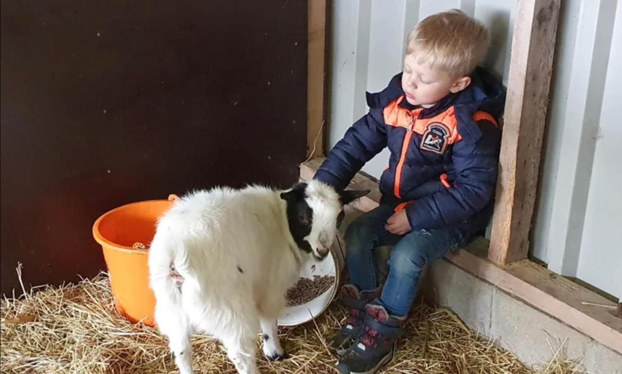 Vakantieboerderij Huize Nuis Noordbeemster Kültér fotó