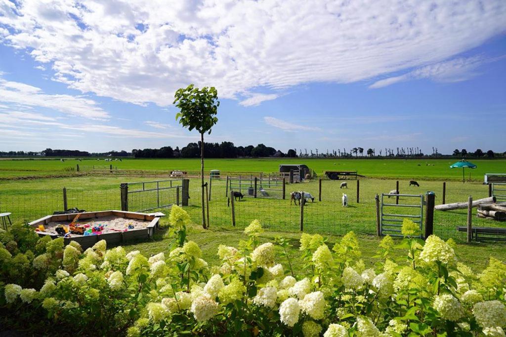 Vakantieboerderij Huize Nuis Noordbeemster Kültér fotó